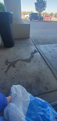 Dirty sidewalks look nasty!