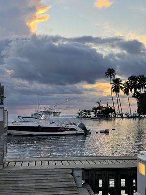 By Design Travel Group