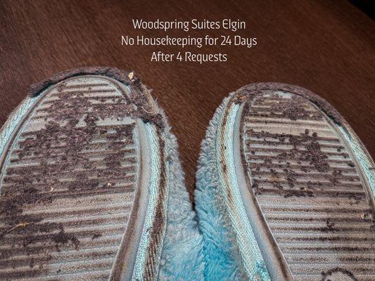 WoodSpring Suites Elgin-Chicago