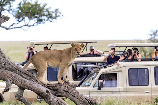 Serengeti tour in Tanzania