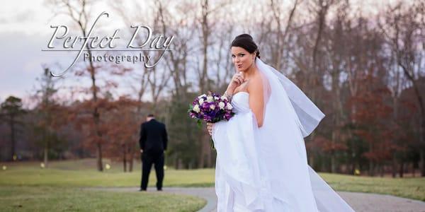 Perfect Day Photography