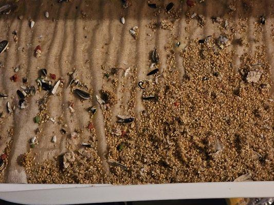 Lake Pointe Veterinary Hospital