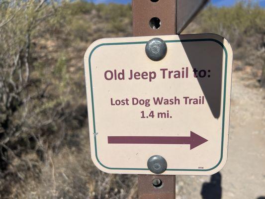 Ringtail Trailhead
