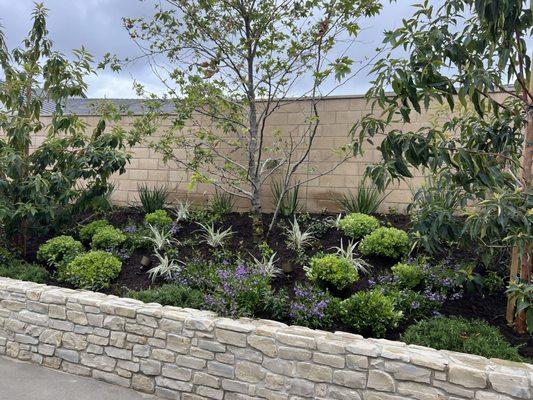 Corona Landscaping and Design