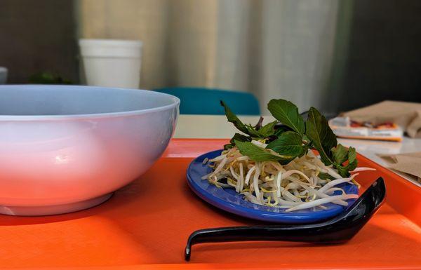 The vegetables and herbs that are served with each Pho