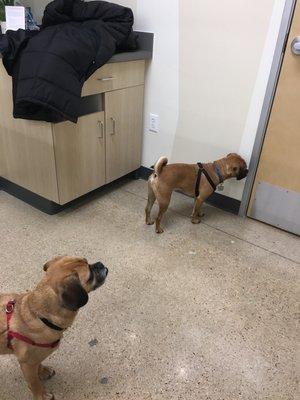 We're waiting to be seen.