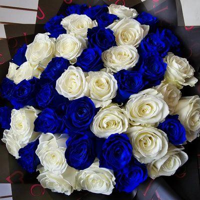 Royal blue and white ramo buchon 50 roses