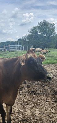 Etchason Family Farm