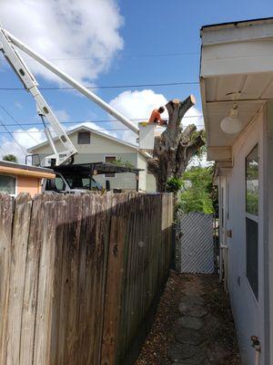 Everwood Environmental