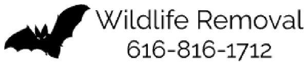 Raccoon Removal Pros