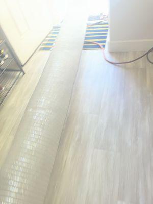 Allergy Cleaning Specialist