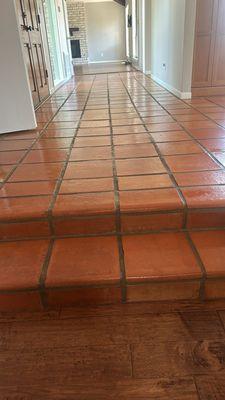 Trustworthy Cleaning Service