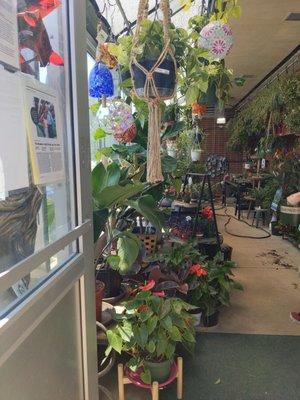 Strader's Garden Center