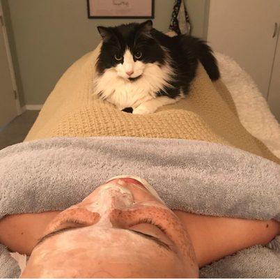 European classic treatment