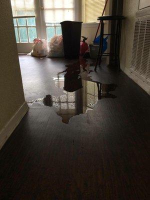 Posada De Las Palmas