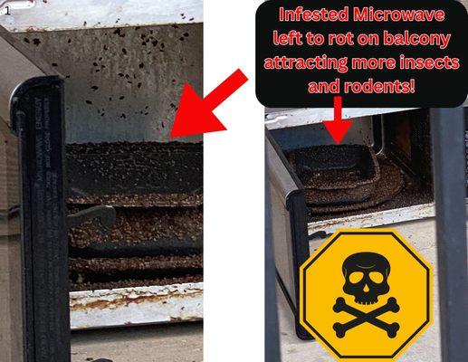 The Lodge at Pecan Creek