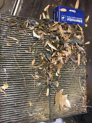 Distad's Tire & Auto