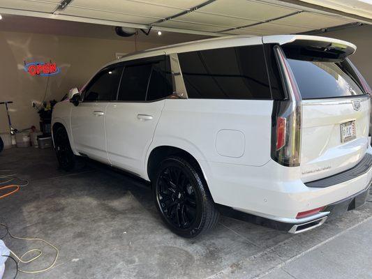 Standing Tall Detailing