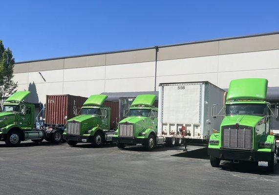 Rogue Motor Freight Trucks