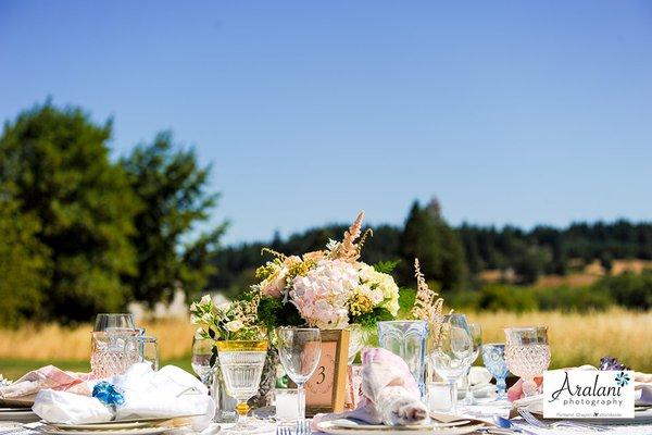 Beautiful outdoor vineyard wedding in July!