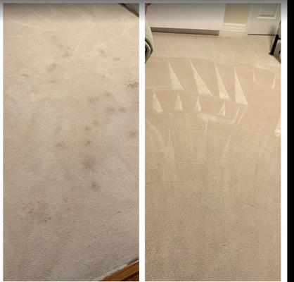 The Clean Machine Team