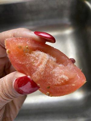 A furry tomato from the salad.