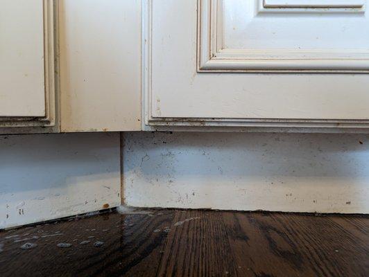My kitchen cabinets and baseboards after they 'cleaned' the kitchen.