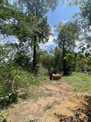 Wallis Land Services