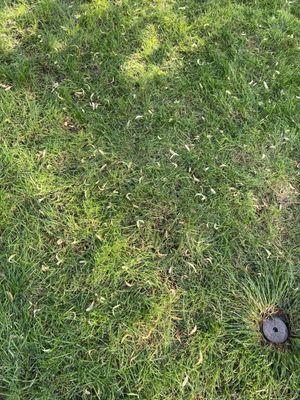 Colorado State Landscape & Design