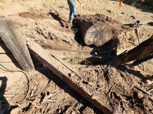 Fe landscaping services