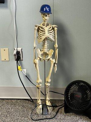 Select Chiropractic