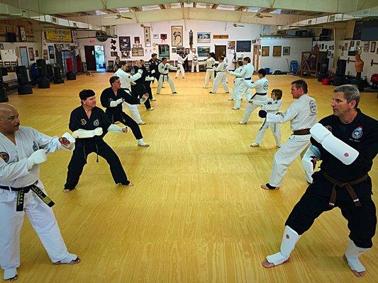 Advanced belts' class sparring session.