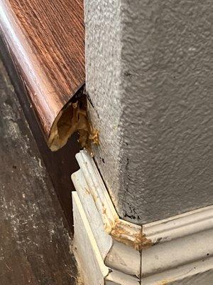 That's the way Empire Today installs  wood vinyl in your stairs.