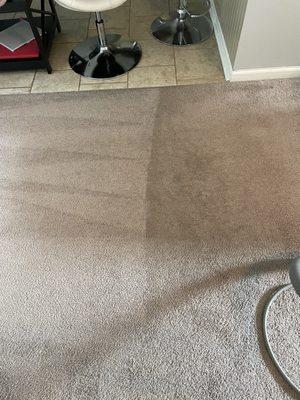 Pure Dry Carpet Care. Certified IICRC Firm and Technician. Owner operated.