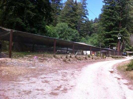 Monterey Bay Salmon & Trout Project