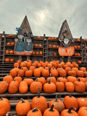 The Great Pumpkin Farm