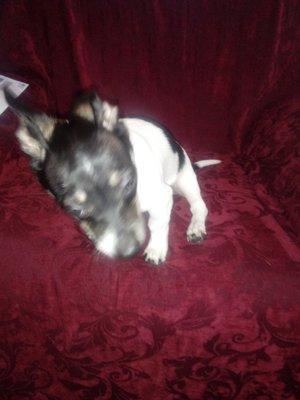 George's 24 Hour Lock Service