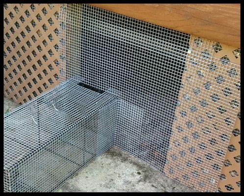 Ocala Wildlife Removal Pro