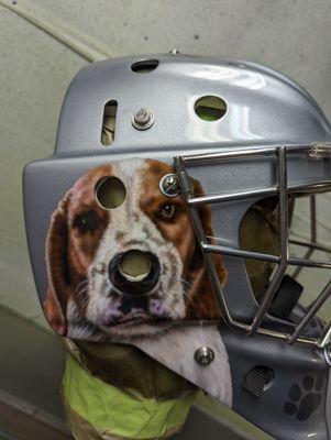Dog goalie mask