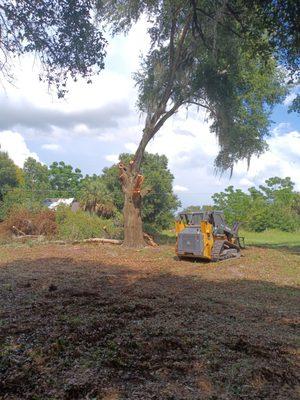 Danny Ray's Tree Service