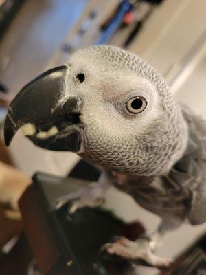 A Safe Place to Land