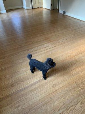 Highland Hardwood Flooring