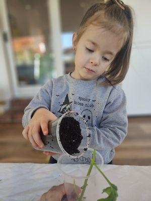 Children plant seeds with their own hands--learning patience, care, and the joy of watching life grow.