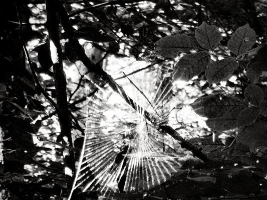 Highbanks Metro Park