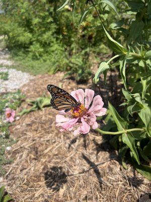 Mississippi Delta Nature and Learning Center