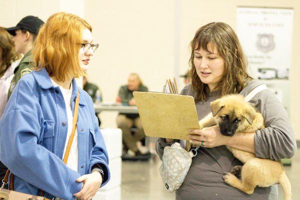 Chelsea Miles Photography