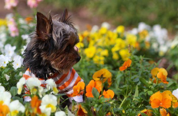 Black Shore Photography