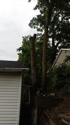 Rothgeb's Property maintenance