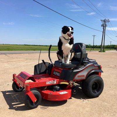 Big Dog Zero Turn Mower
