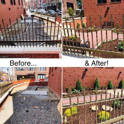 A few before and afters of a landscaping project